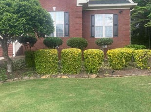 Sarah A.'s Bush Trimming service result