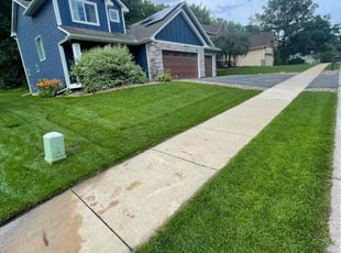 Brian B.'s Leaf Removal service result