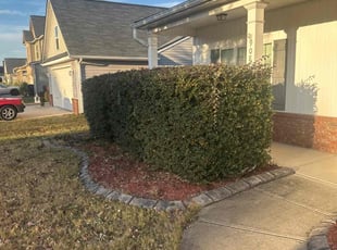 Keith E.'s Bush Trimming service result