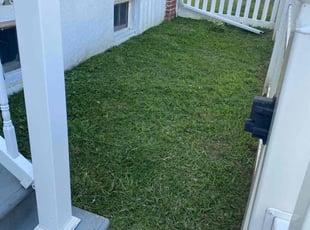 Ismael G.'s turf maintenance service result
