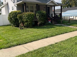 Virginia F.'s grass cutting service result