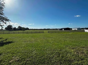 Jo L.'s grass maintenance service result