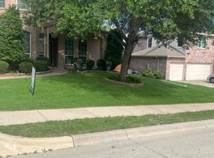 Aiesha R.'s lawn care services service result