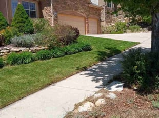 Barbara A.'s lawn care service result