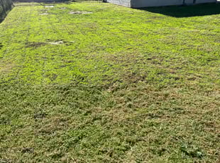 John P.'s lawn care services service result