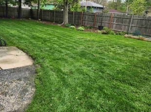 Rendall G.'s lawn maintenance service result