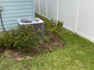 Crystal S.'s Bush Trimming service result