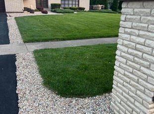 David P.'s lawn maintenance service result