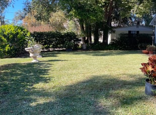 Cynthia M.'s turf maintenance service result