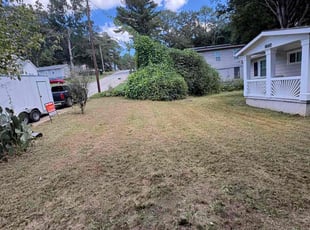 Angela C.'s turf care service result