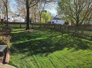 Stephanie R.'s lawn care service result