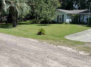 Falen T.'s grass maintenance service result