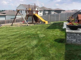 Sandra J.'s lawn care service result