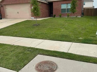 Deborah D.'s turf care service result