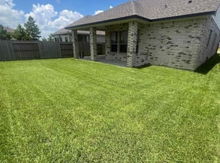Anne D.'s turf care service result