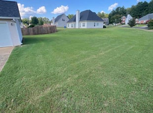 Kirk K.'s grass maintenance service result