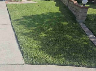 Michael B.'s lawn service service result