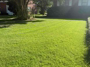 Dr. S.'s lawn service service result