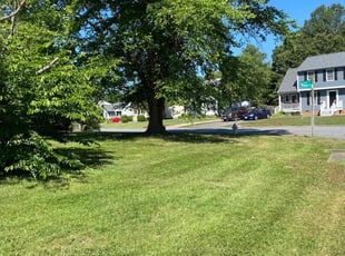 Bob P.'s turf maintenance service result