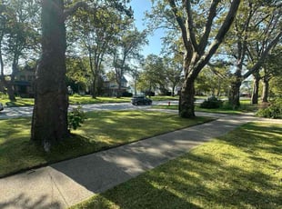 Sandra L.'s lawn care services service result