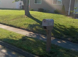 David K.'s grass cutting service result