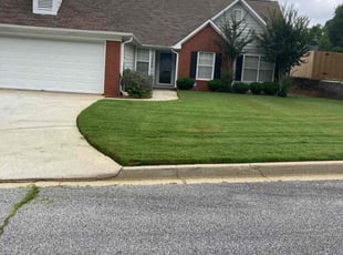 Gina P.'s turf maintenance service result