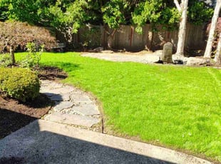 Timothy H.'s grass cutting service result