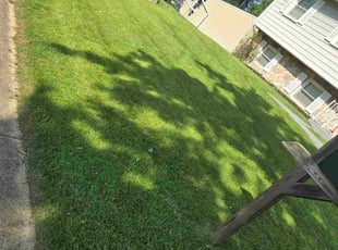 Donald V.'s turf maintenance service result