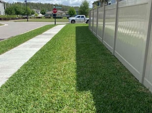 Rosy P.'s turf care service result