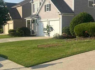 Eric H.'s turf maintenance service result