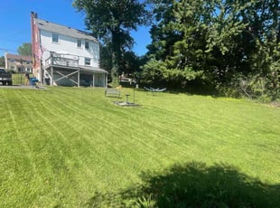 Christian D.'s lawn service service result