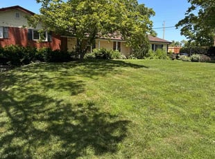 Ali A.'s lawn service service result