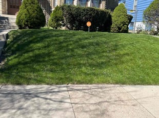 Jr C.'s turf maintenance service result