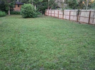 Susana R.'s grass maintenance service result