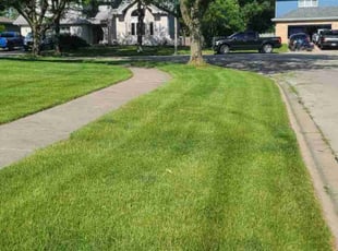 Alexis R.'s lawn care services service result