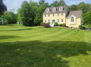 Dax R.'s lawn care services service result