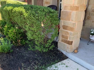 Kia W.'s Bush Trimming service result