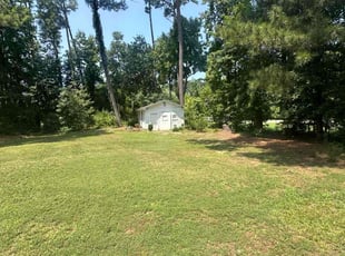 Deana G.'s lawn care service result