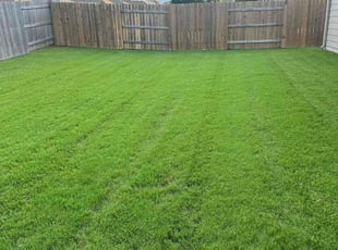 Tanya G.'s lawn maintenance service result