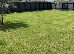 Jason F.'s lawn maintenance service result