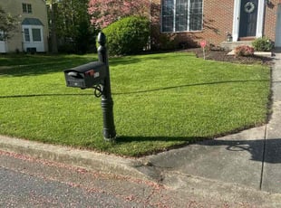 Al L.'s grass cutting service result
