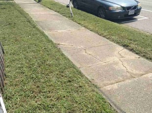 Tonda P.'s lawn maintenance service result