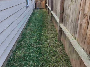 Mike T.'s lawn service service result