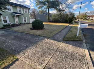 Icia h.'s turf care service result