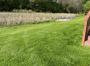 Sarah R.'s grass maintenance service result