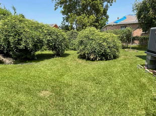 Marcey F.'s lawn maintenance service result