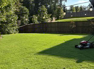 Maria B.'s turf maintenance service result