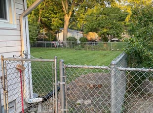Evan B.'s lawn maintenance service result