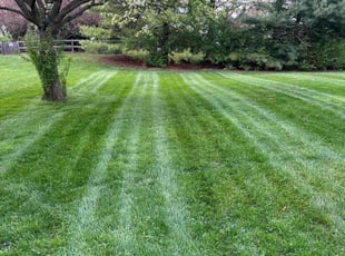 Donald G.'s turf maintenance service result