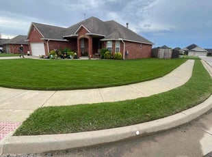 Cesar C.'s grass maintenance service result